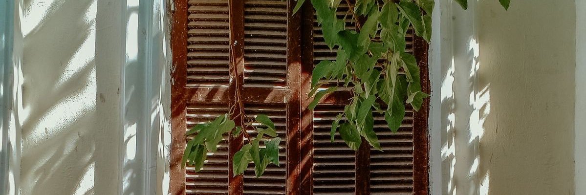 F A T I M A ♉️🕊 banner