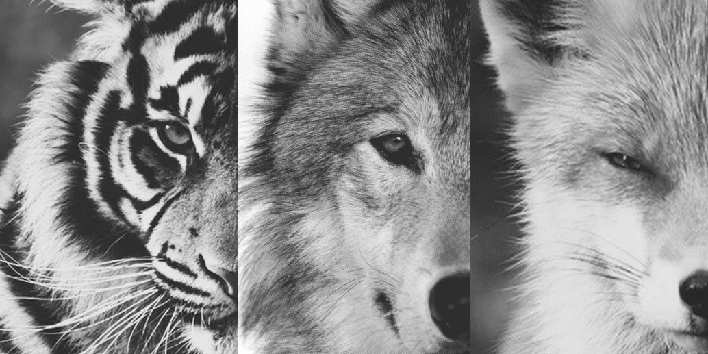 yoanadwi's profile banner image