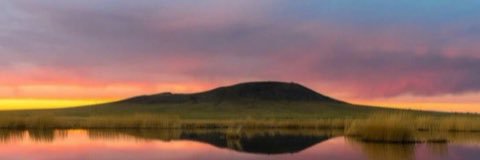 civicmongolia's profile banner image