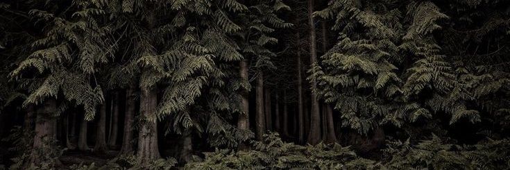 ElenaMelr's profile banner image