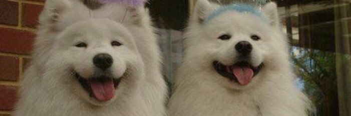 ginalicious_'s profile banner image