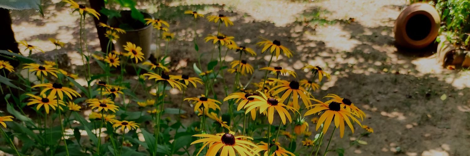 Nattya Kapanadze banner