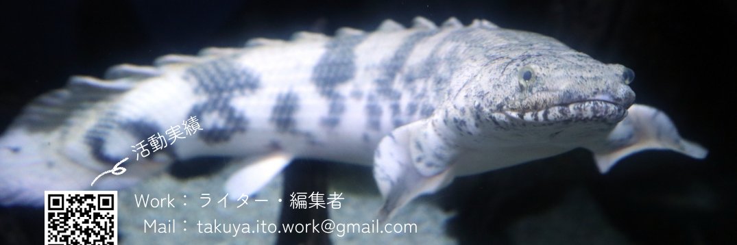 伊藤 拓也（taku）｜水族館を語りたいライター banner