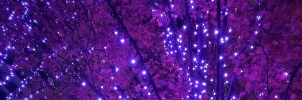 SAKI_MIYASHITA Profile Banner