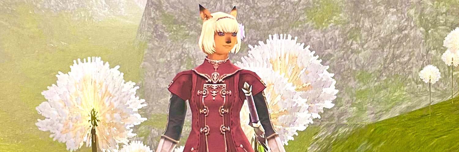 イズミ@Phoenix banner