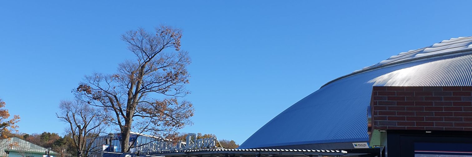 rbv_nl's profile banner image