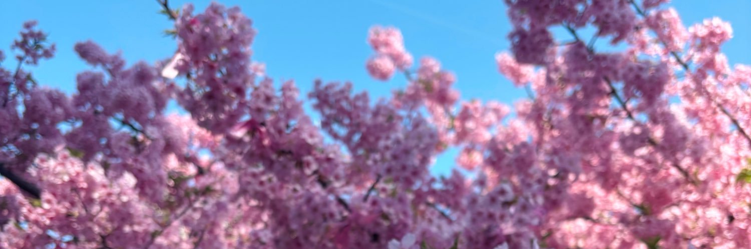 narchan_5396's profile banner image