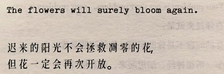 helena club penguin banner