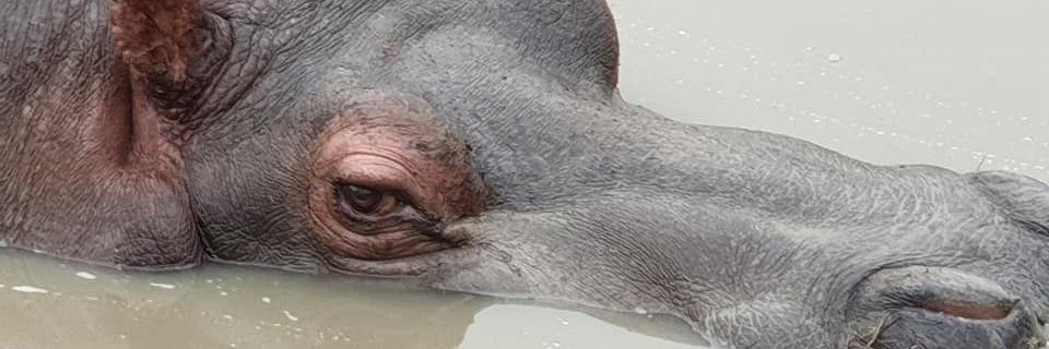 BlakeAntcliff's profile banner image