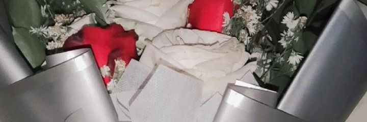 mo0npies's profile banner image