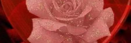 香元 banner