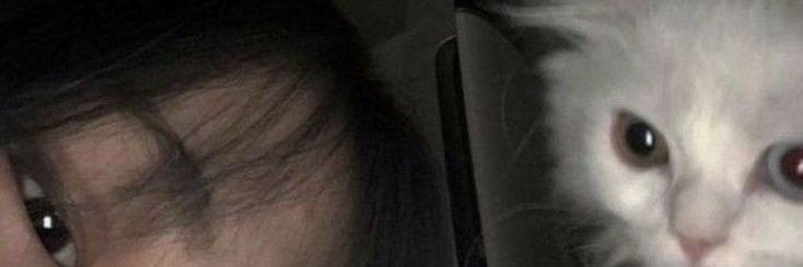 M. banner