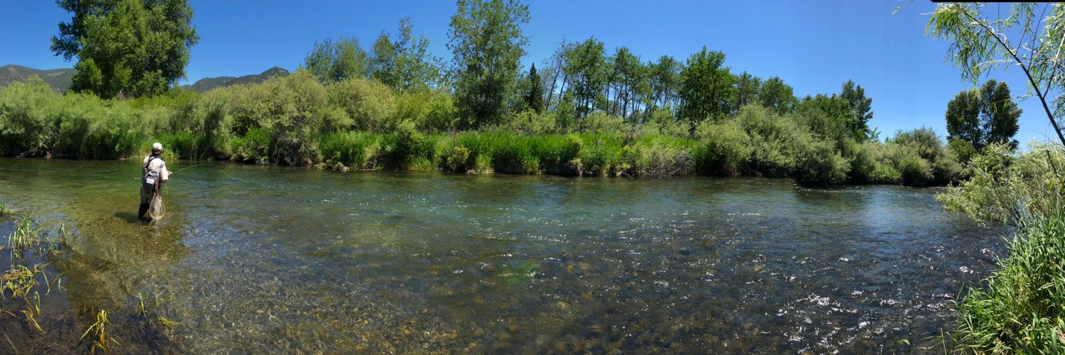 Cameron Perry banner