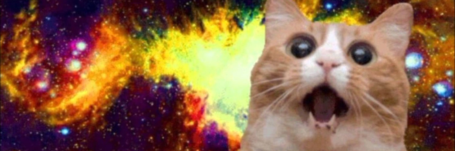Nef_tune's profile banner image