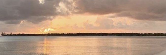 TaylorWinterst2's profile banner image