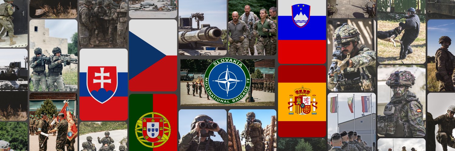 NATO Multinational Brigade Task Force Slovakia's banner