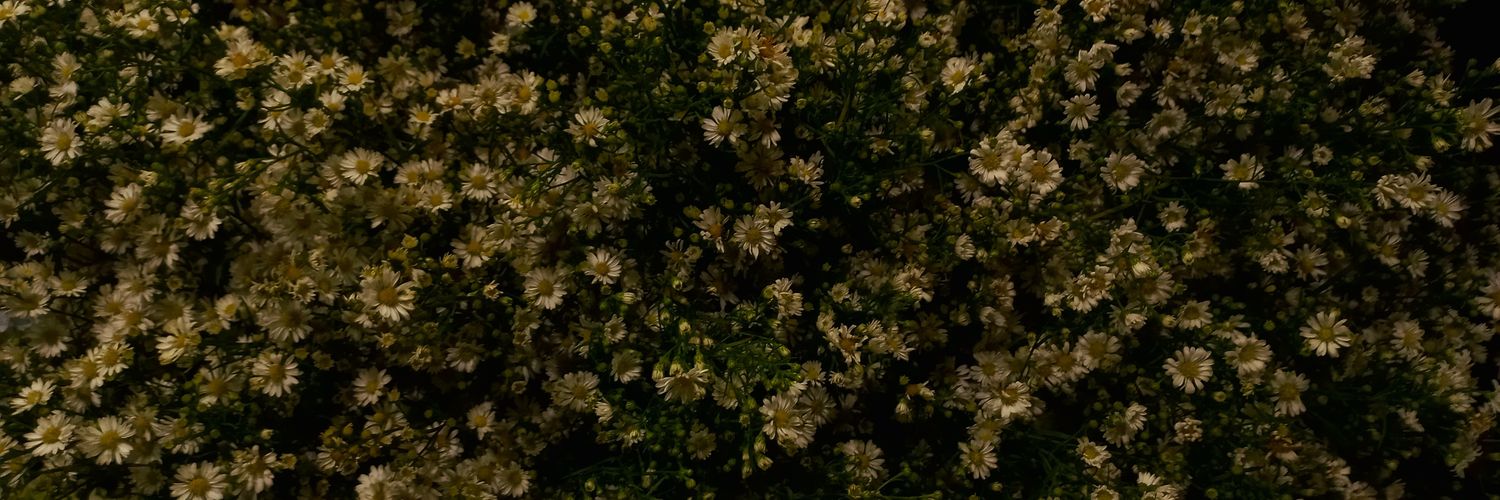 xxl banner