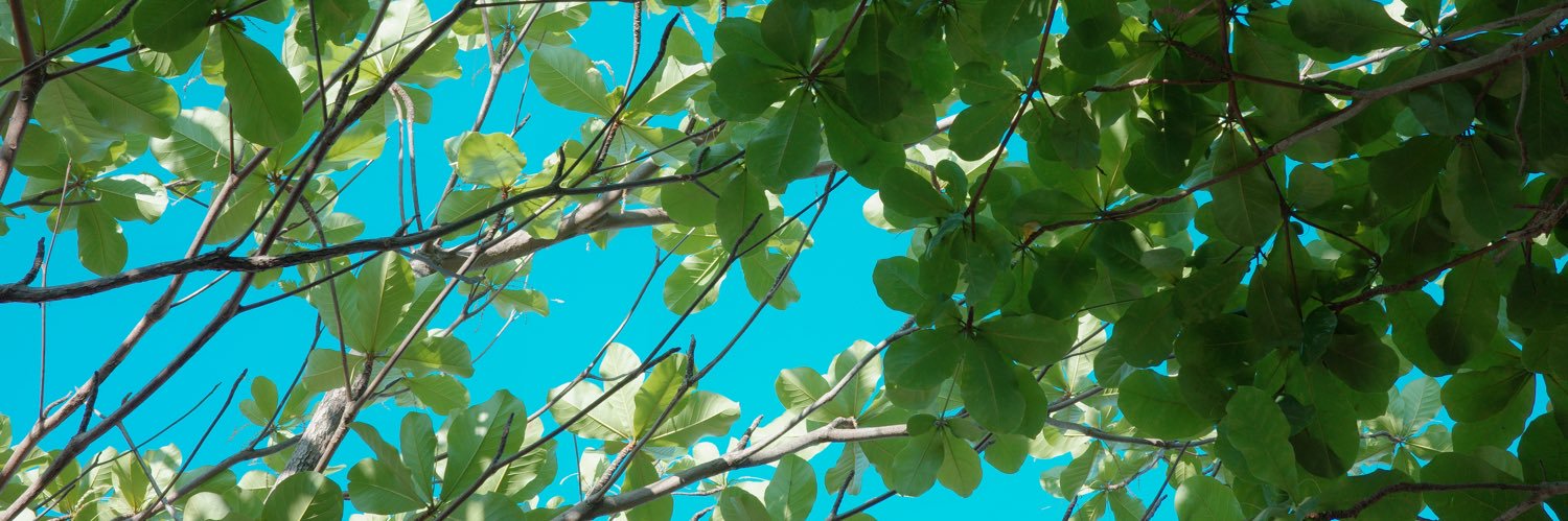 crisiskayler's profile banner image