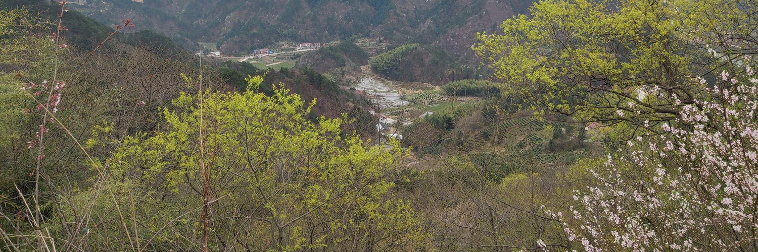 云自无心水自闲 banner