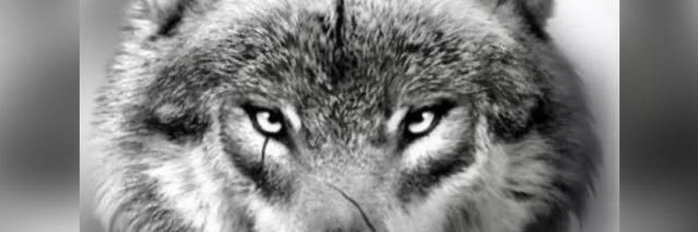 duran6606's profile banner image