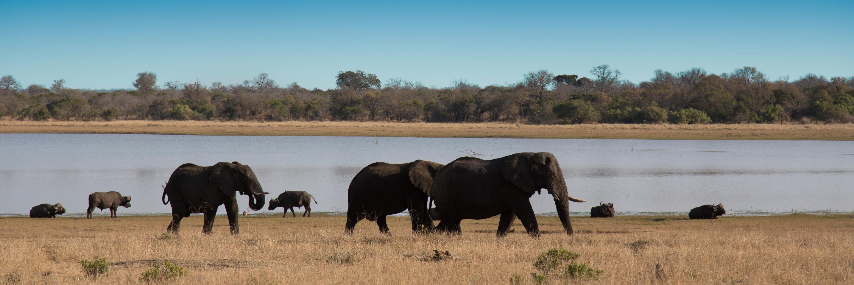 Werner Maritz banner