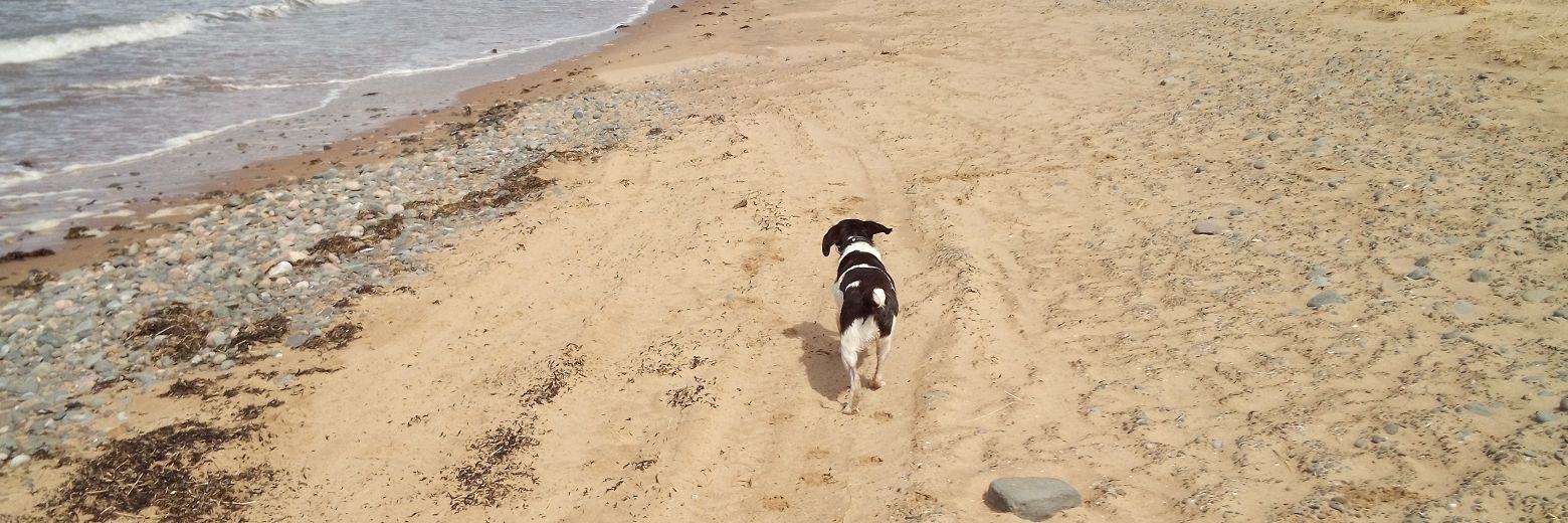 Matthew Rodenby banner