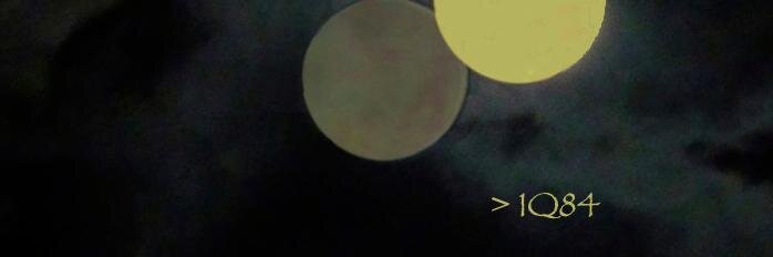 melADTR's profile banner image