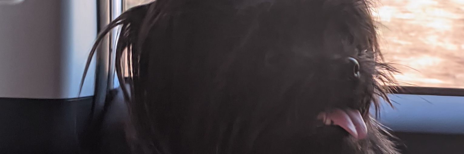 mari banner