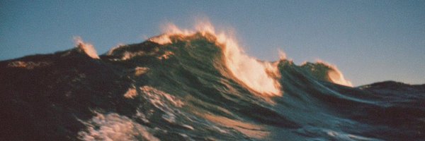TheRoyalSerf Profile Banner