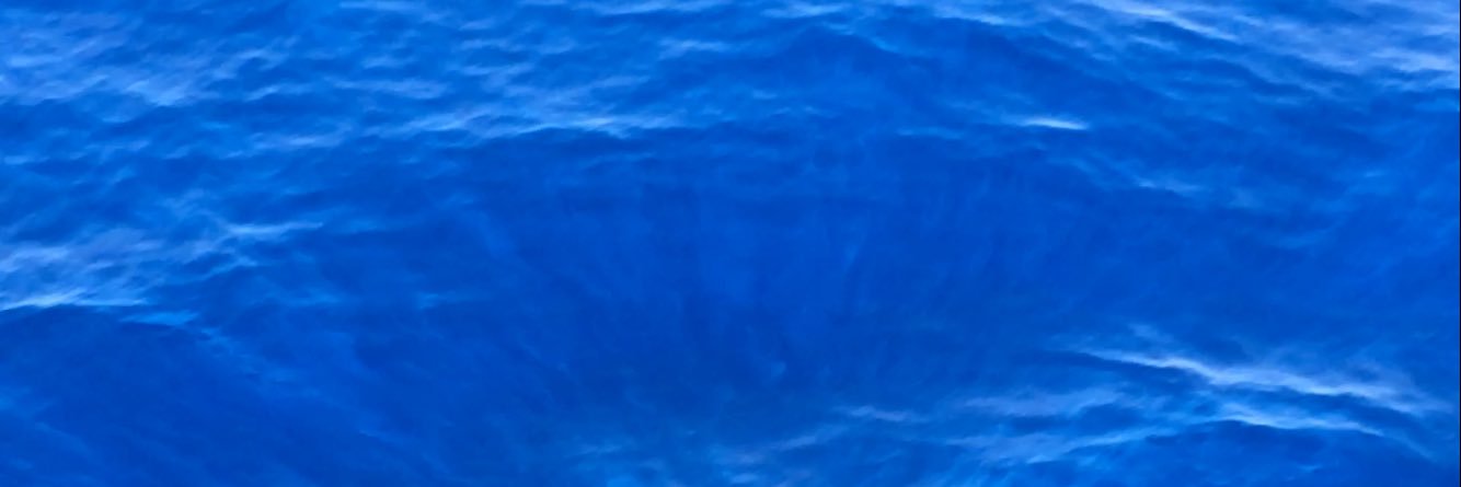 ReigningFrog banner