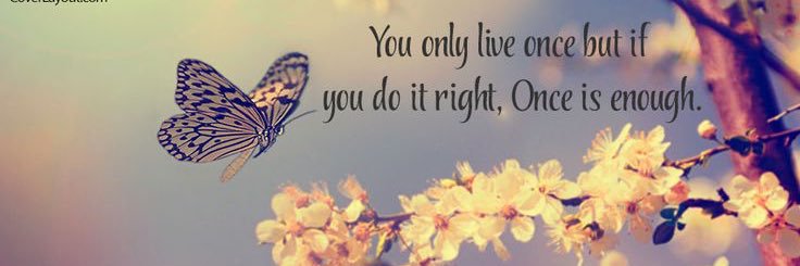oPowderPanGo's profile banner image