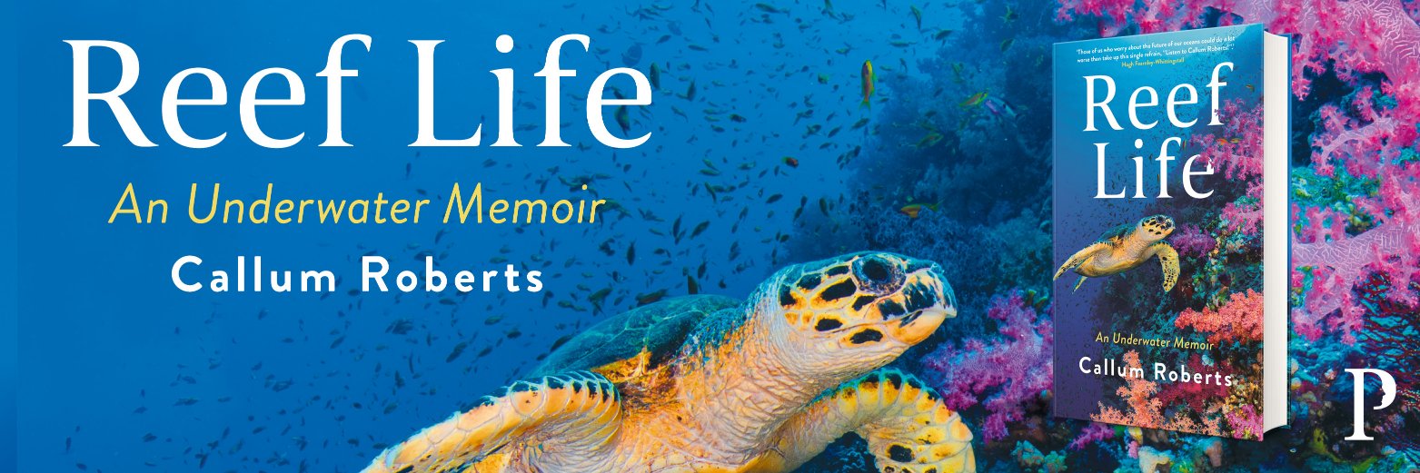 Callum Roberts banner