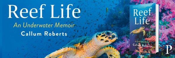 ProfCallum Profile Banner