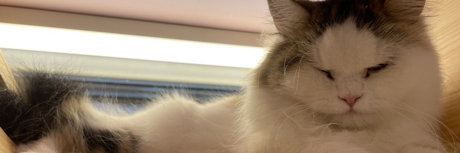 wooss__'s profile banner image