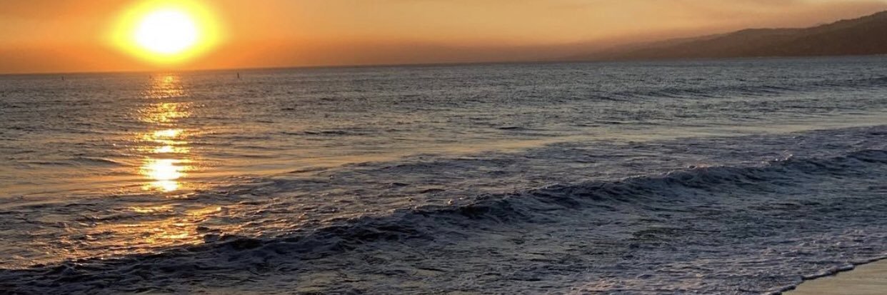 Nina banner