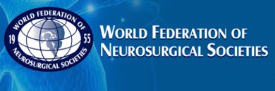 WFNS Spine Committee - banner