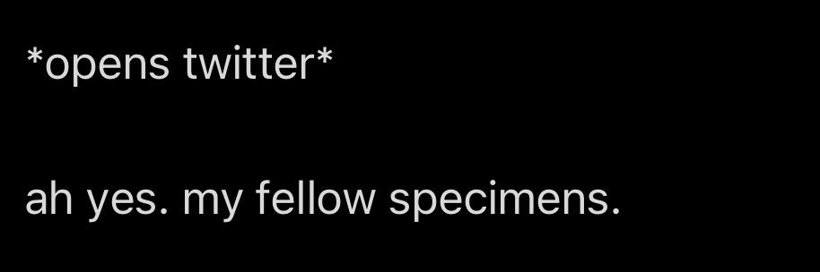 𖤐 Lizabeth 𖤐 banner