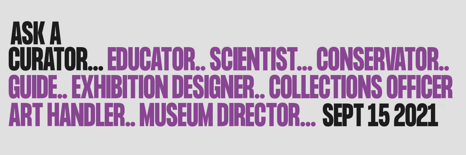 Ask a Curator banner