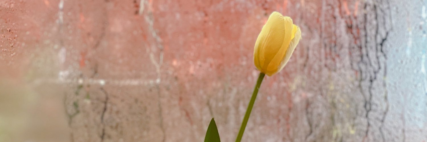 mathanun_w's profile banner image