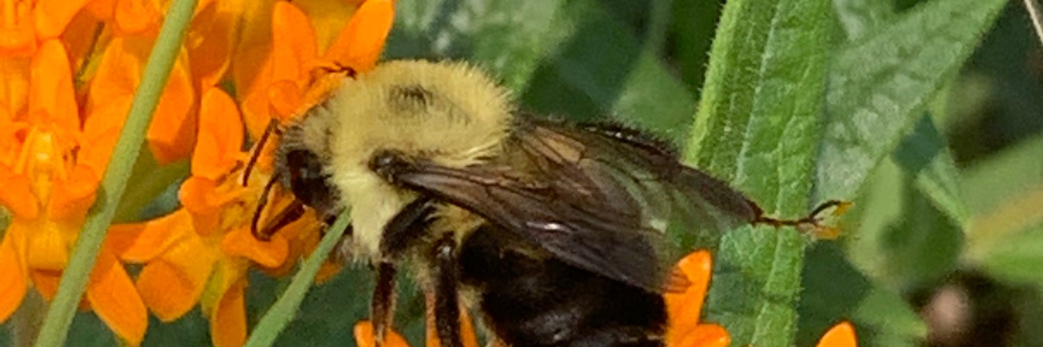 STEMCENTRALCASS's profile banner image