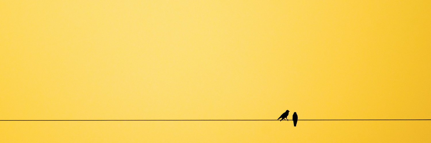 Kathy Obregon banner