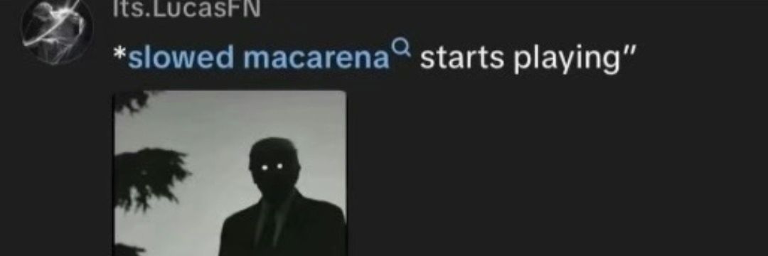 alexa but it private banner