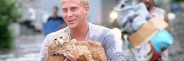animals Man banner