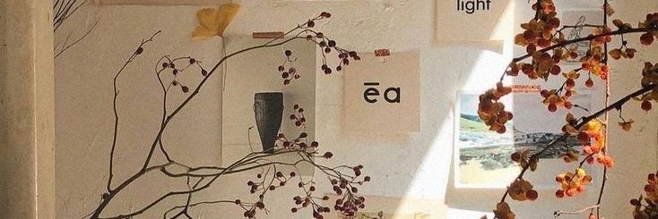 Sucré banner