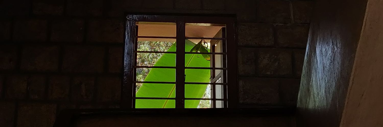 hellowoi's profile banner image
