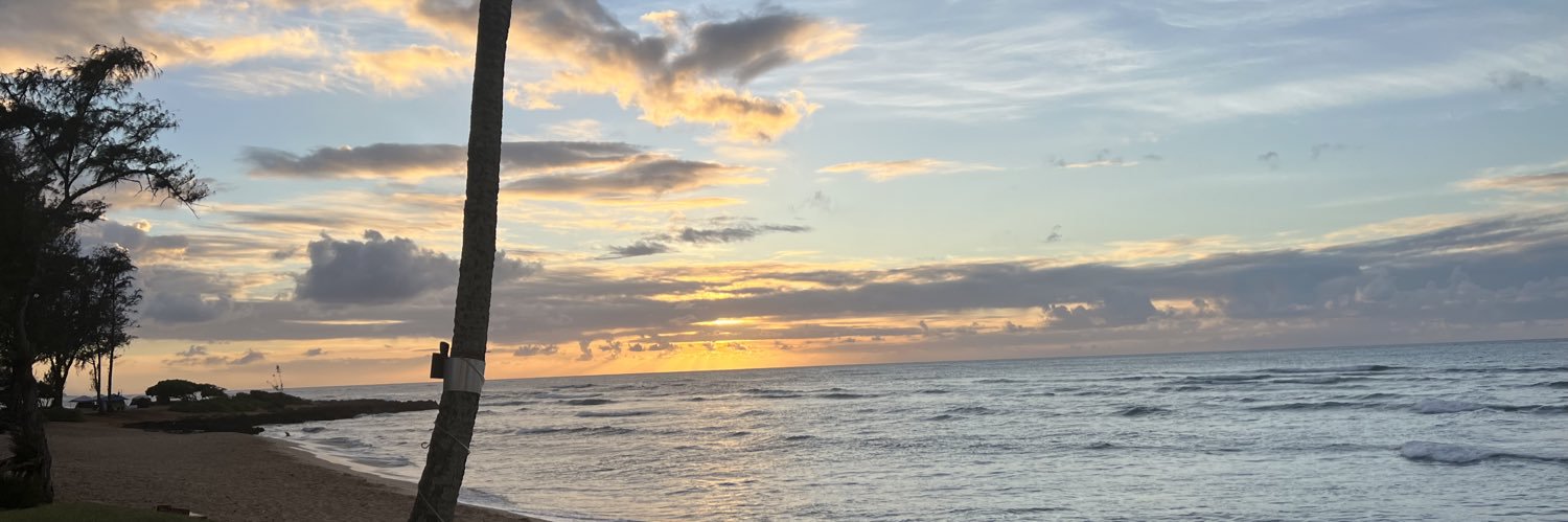 PLHopkins's profile banner image
