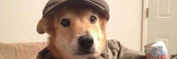 Nerf_bs Profile Banner