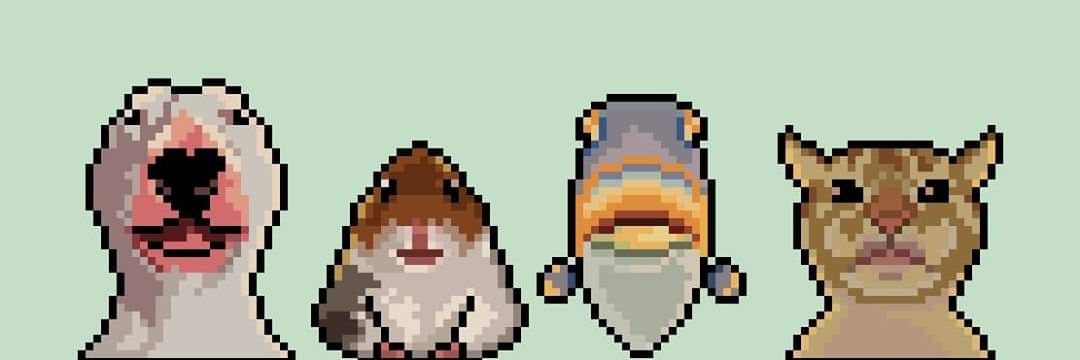 itsamandafeik's profile banner image