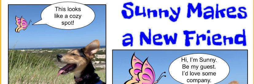 AudraKaplan's profile banner image