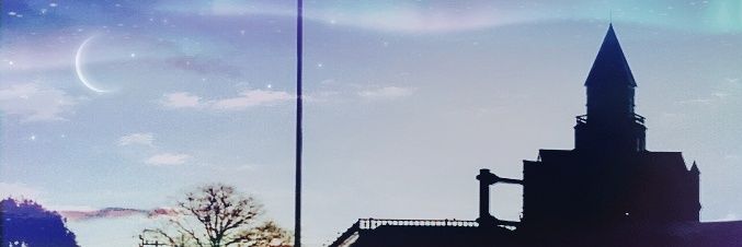 地雷姫ひろにゃん(ひろこ) banner